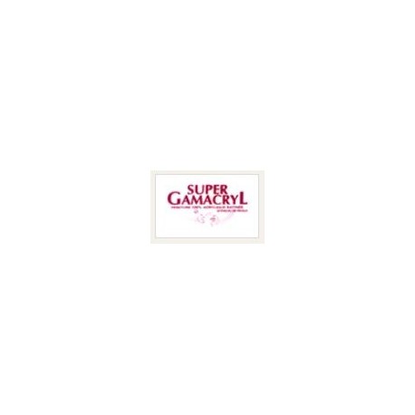 SUPER GAMACRYL : PEINTURE 100% ACRYLIQUE SATIN BLANC (UNITE)