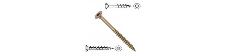 Rayon visserie VBA Torx Multivis.