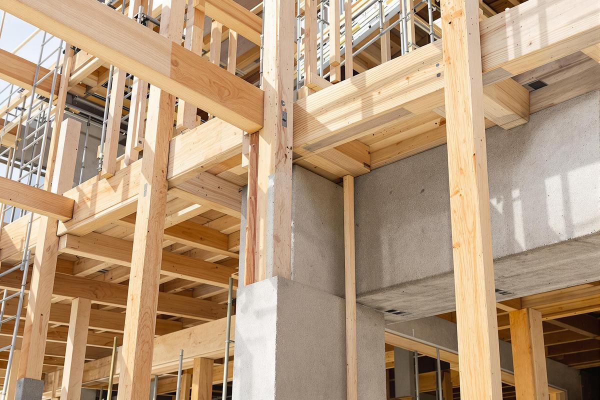 Jambes de force bois et béton : stabilité et résistance.jpg